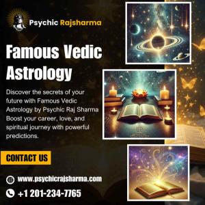 Famous Vedic Astrologer in New Jersey | Psychic Raj Sharma