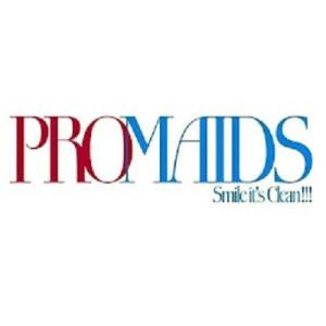 Pro Maids LLC - Michigan's Professional Cleaning Experts