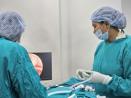 ent specialist in delhi
